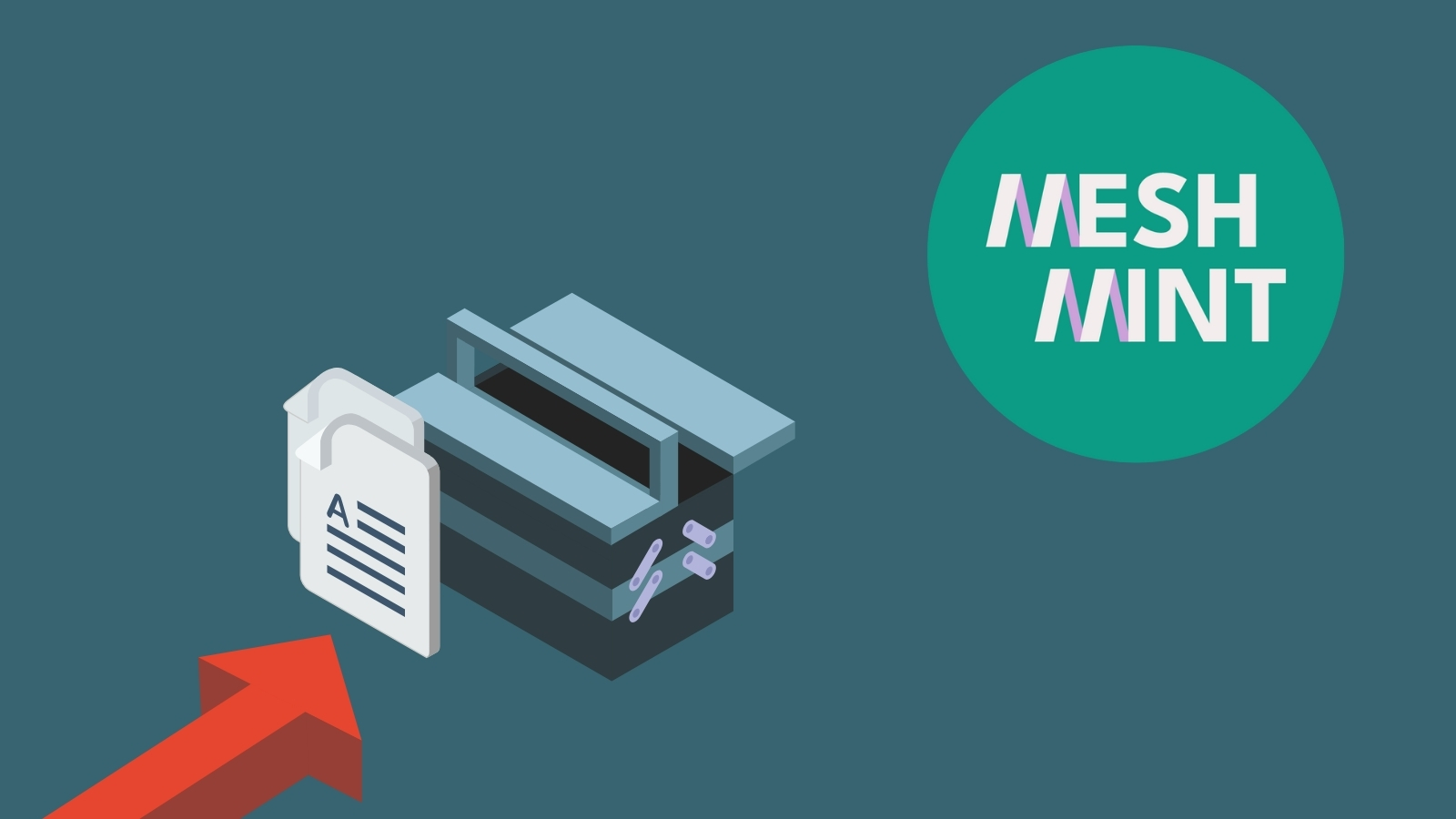 Koffer mit Artikel und Logo MesH_MINT